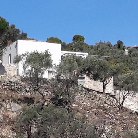 House Λ Moni Evaggelistrias Exterior foto