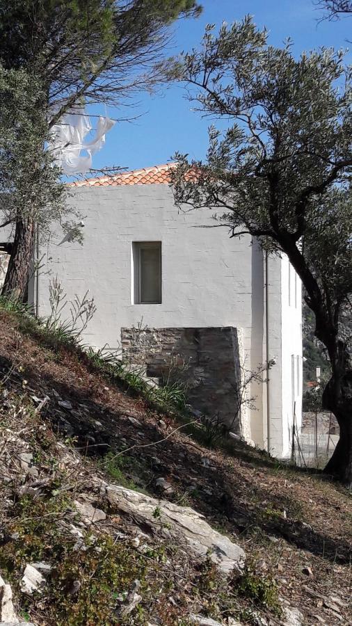 House Λ Moni Evaggelistrias Exterior foto